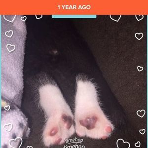 Meet your Posher, Sandra